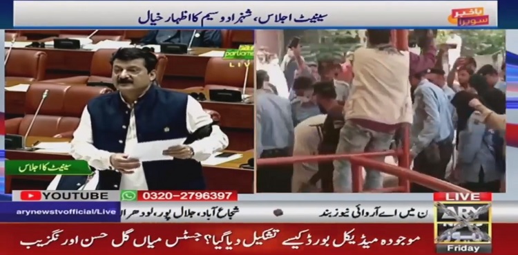 Shahbaz Gill Pti Protests In Senate Against Mistreatment