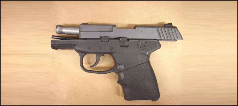 American mother shoots daughter by mistake