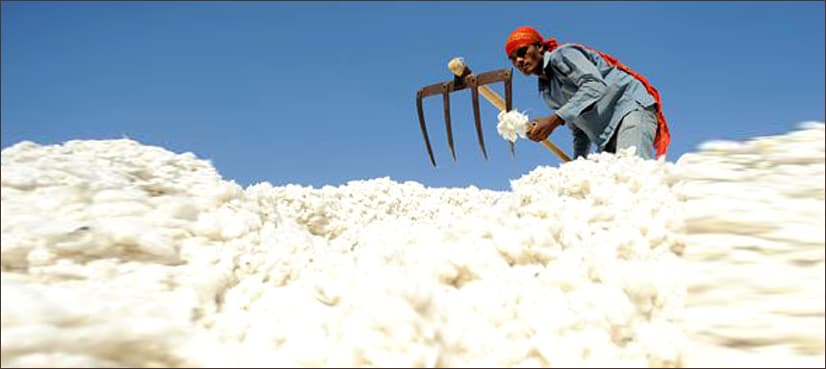 Cotton mound prices mark historic increase, reach Rs15,000