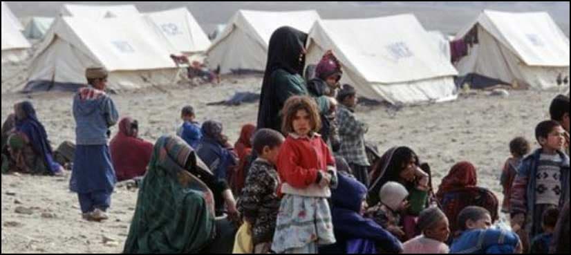 Nadra to develop database for documentation of Afghan refugees