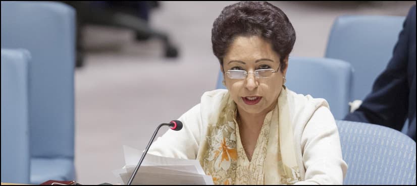 Reliance on just military force in Afghanistan needs reality check, Pakistan tells UN
