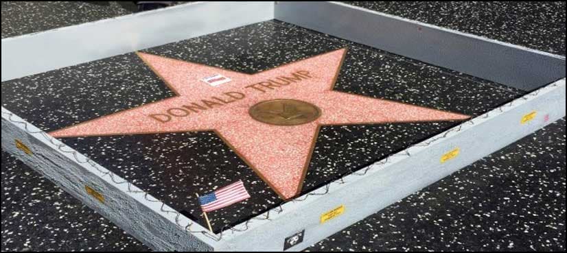 Artist builds wall around Trump's Hollywood star