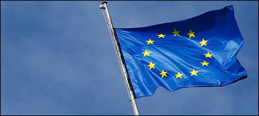 Eurozone business activity strong despite Brexit: survey