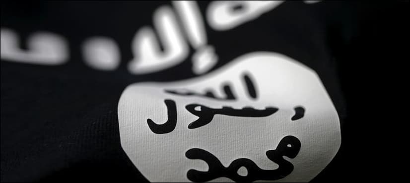 Ex-ISIS fighter entered US as refugee: US officials