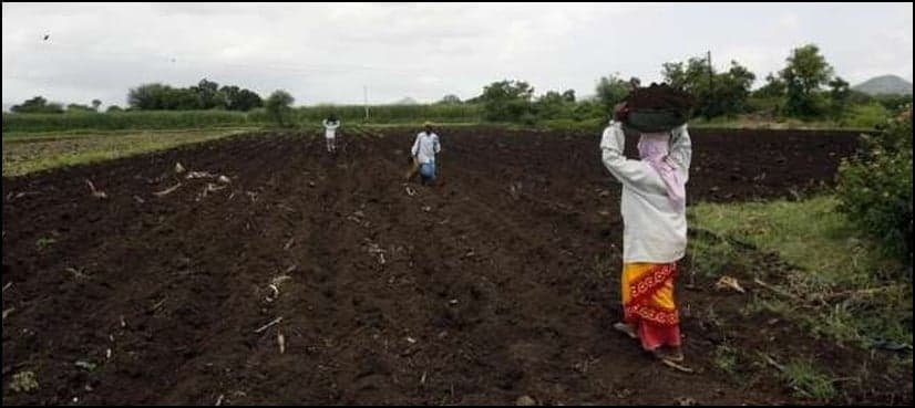Sexual abuse plagues female workers on India's sugarcane fields