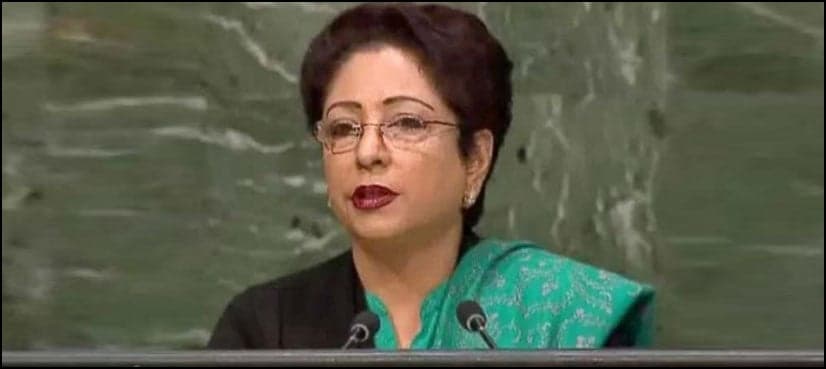 Unimplemented resolutions on Kashmir raise questions on UNSC’s credibility: Pakistan