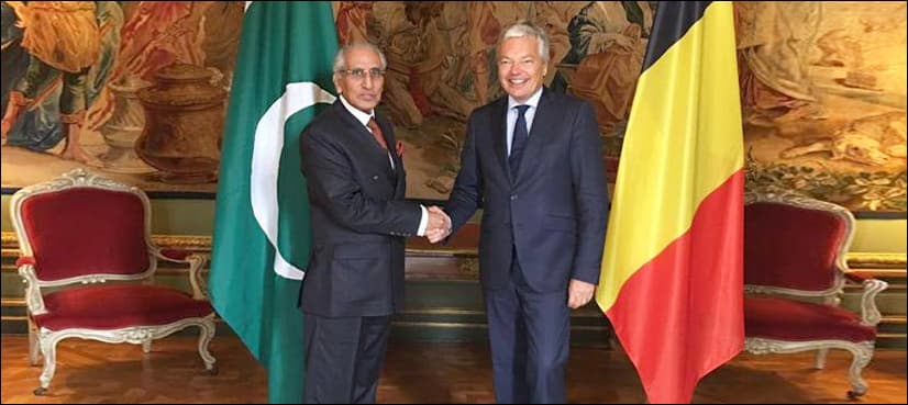Pakistan’s application for NSG based on solid grounds: Fatemi