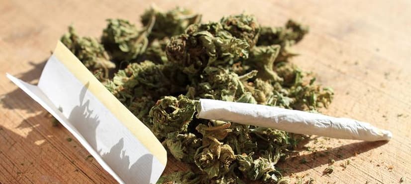 Cannabis study says more Americans getting high