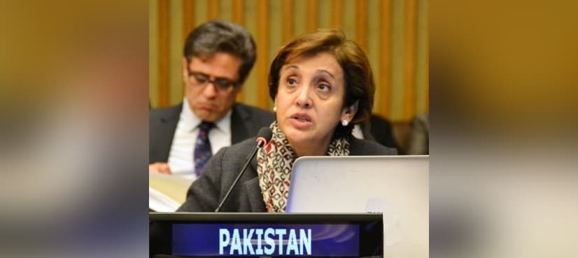 Pakistan says Kashmir settlement vital for peace in South Asia