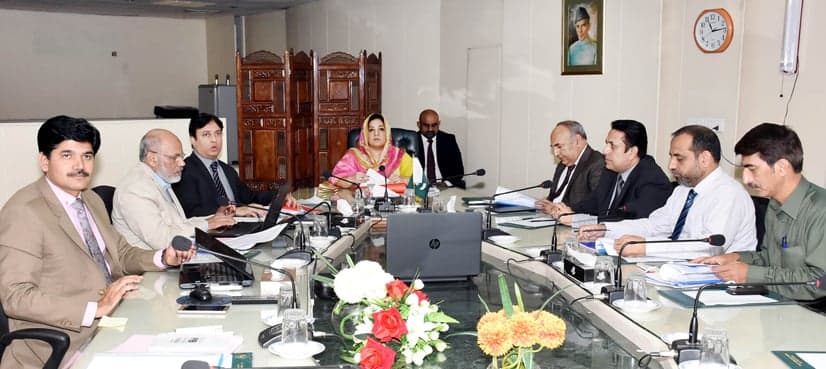 IT minister announces internships for 3000 graduates