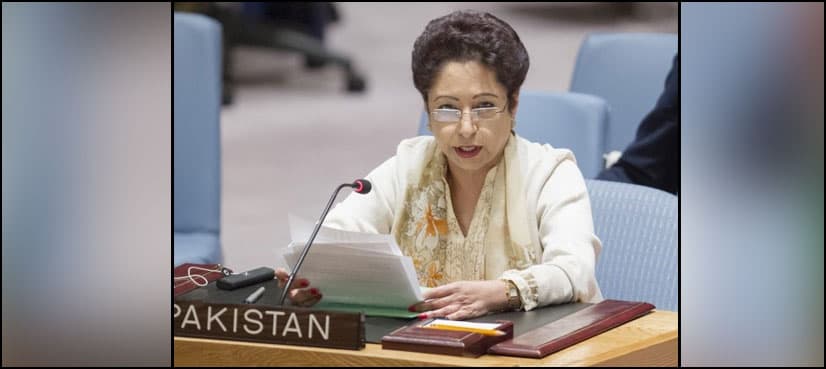 Denial of Kashmiri's rights is “a telling example” of Indian impunity: Lodhi