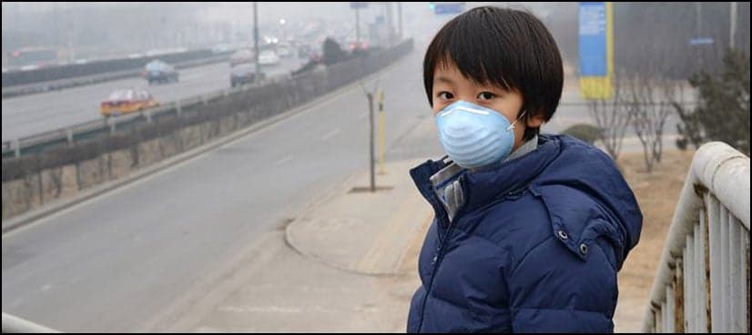Air pollution linked to kidney disease risk: study