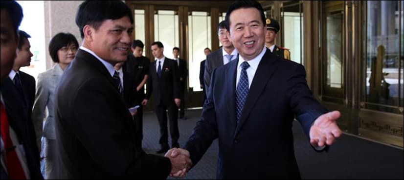 Chinese minister elected as Interpol president