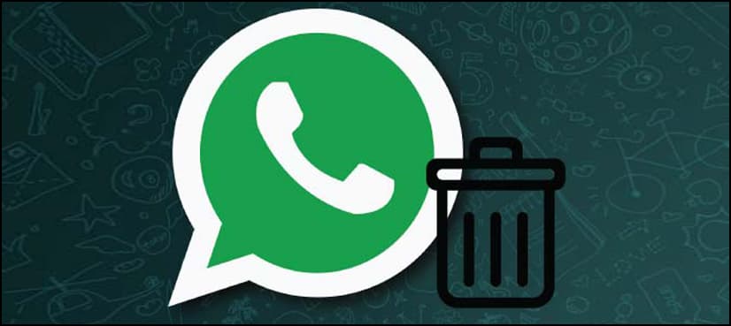 Do you know how to stop WhatsApp message from being delivered?