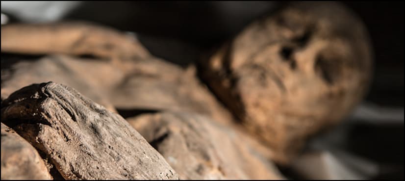 Virus found in child mummy could rewrite smallpox history: study
