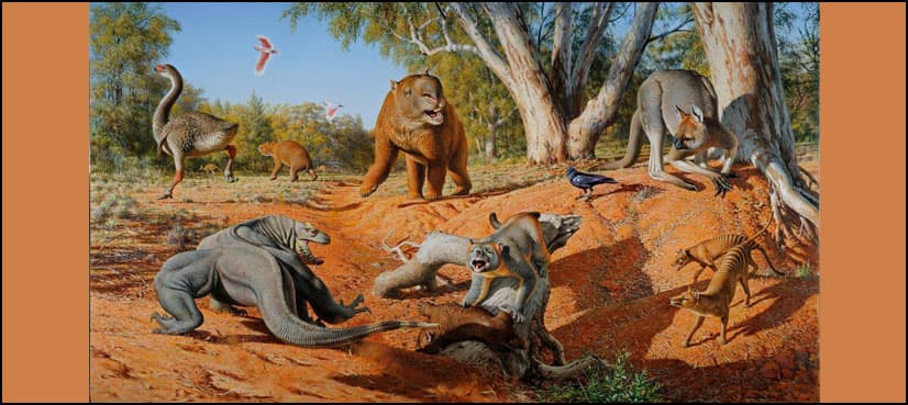 Humans, not climate, killed off Australia's big beasts