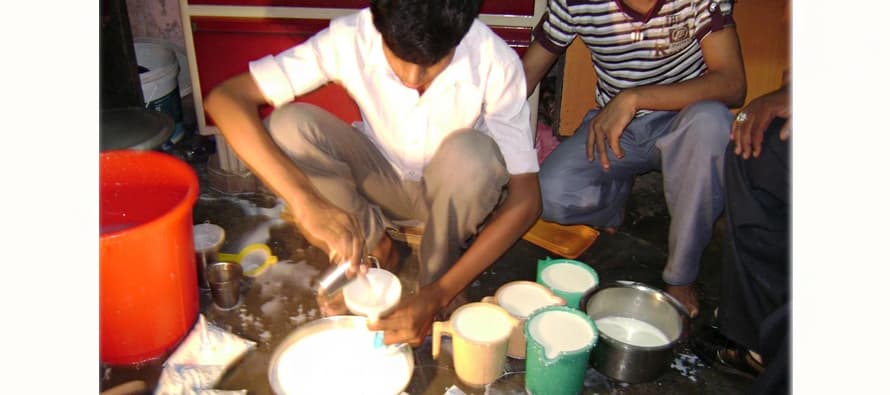 Punjab govt for establishing special courts to punish food, milk adulterators