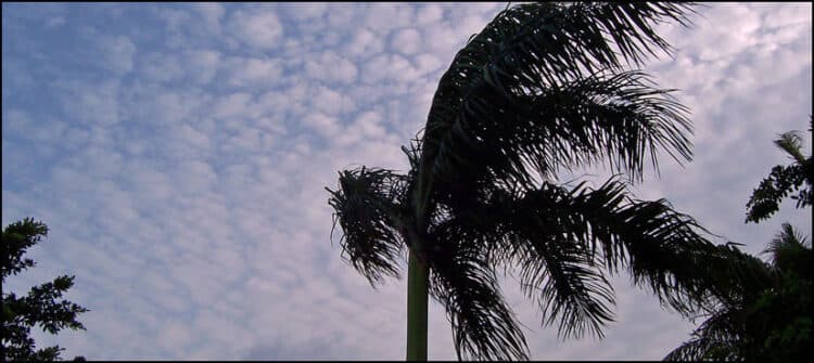 Sea breeze returns, cools Karachi down, drizzle expected