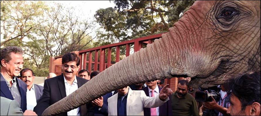 In Pictures: Sindh CM and Mayor Karachi visit Karachi Zoo