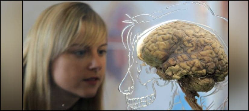 COVID-19 can cause brain shrinkage, memory loss: study