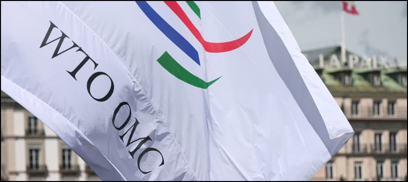 WTO faces first attack from US under Trump