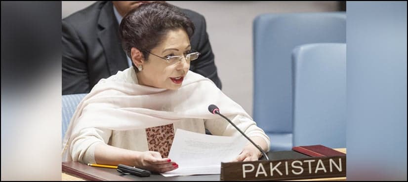 Terrorism and legitimate freedom struggle should be differentiated: Lodhi
