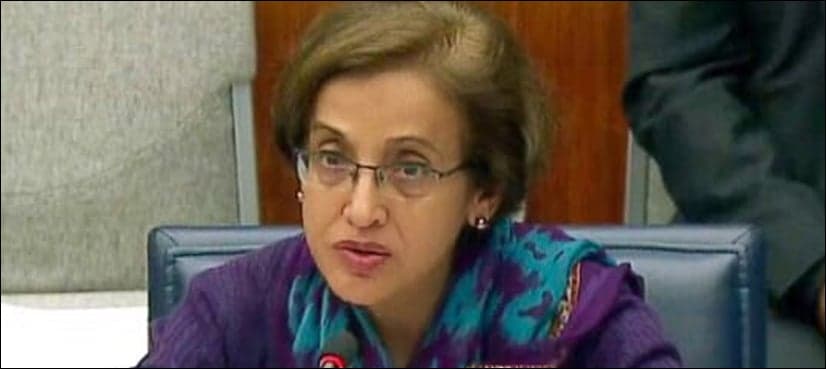 India has made SAARC a 'hostage': Tehmina Janjua