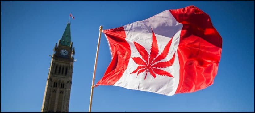 Canada unveils legislation to legalise cannabis