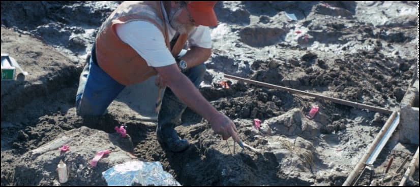 Humans in America '115,000 years earlier than thought'