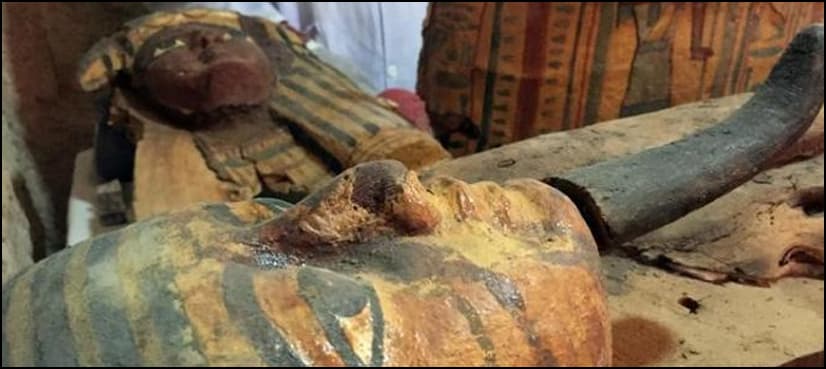 Egypt discovers 3,000-year-old tomb of nobleman