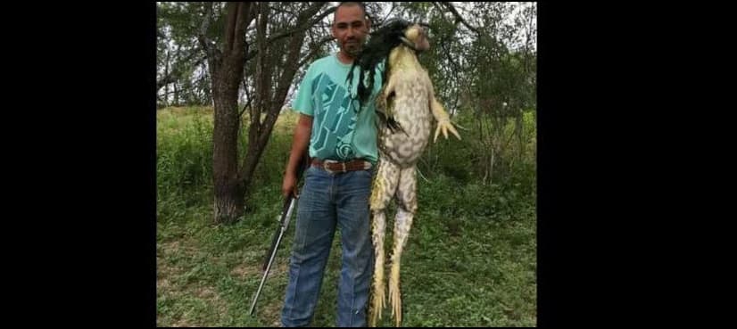 Man claims to have hunted giant ‘frogzilla’ in Texas…but is it real?