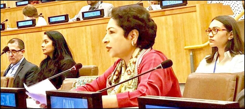 Pakistan pushes for UNSC reform on democratic principles