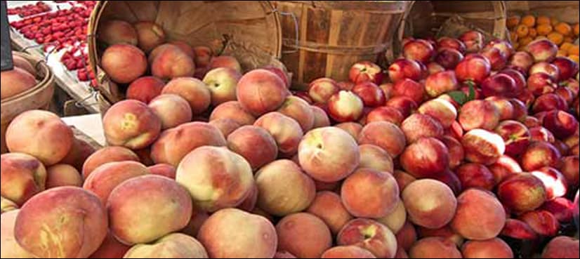 Tunisian driver stops train -- to buy peaches