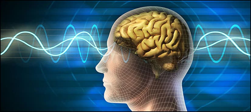 New study says 9 lifestyle changes can cut dementia risk
