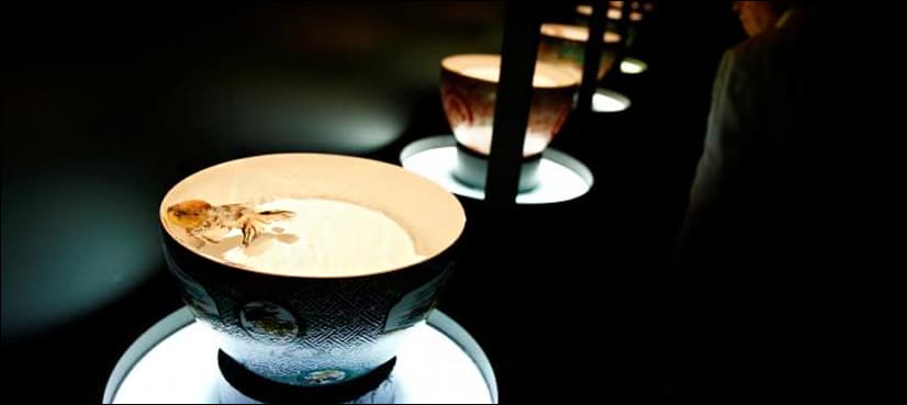 Thousands of goldfish bring Tokyo art exhibit to life