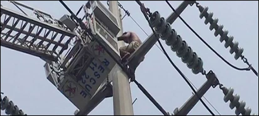Man climbs electric pole in Lahore