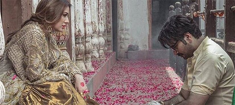 Here is what makes 'Punjab Nahi Jaungi' the most anticipated movie of the year