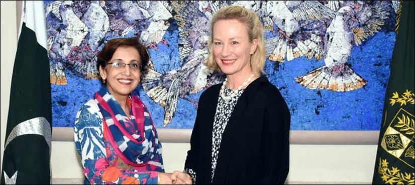 Strong Pak-US partnership critical to sustainable peace, security in region: foreign secy