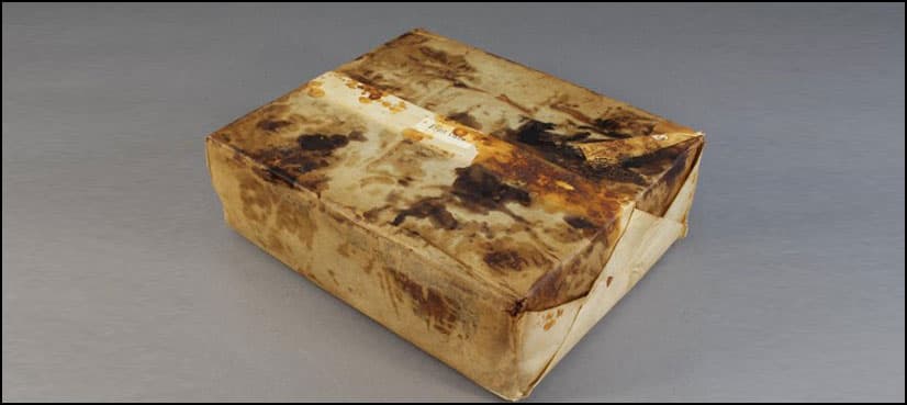100-year-old fruitcake found in Antarctica in ‘perfect condition’