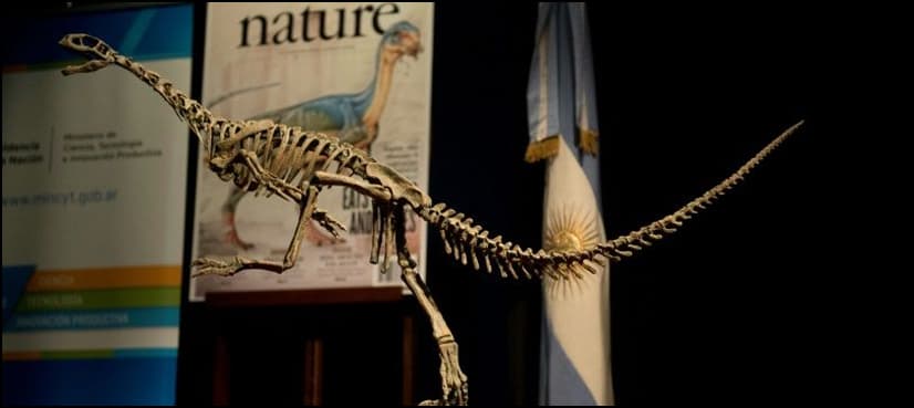 Vegetarian dinosaur: 'Missing link' bolsters bold theory on dino evolution