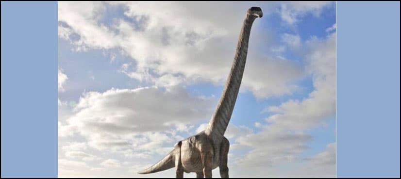 Patagotitan mayorum: Colossal new dinosaur species gets scientific name