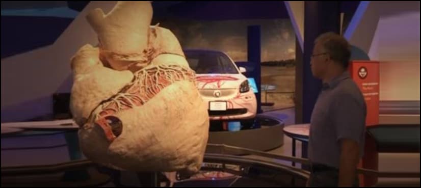 World’s biggest heart goes on display in Toronto
