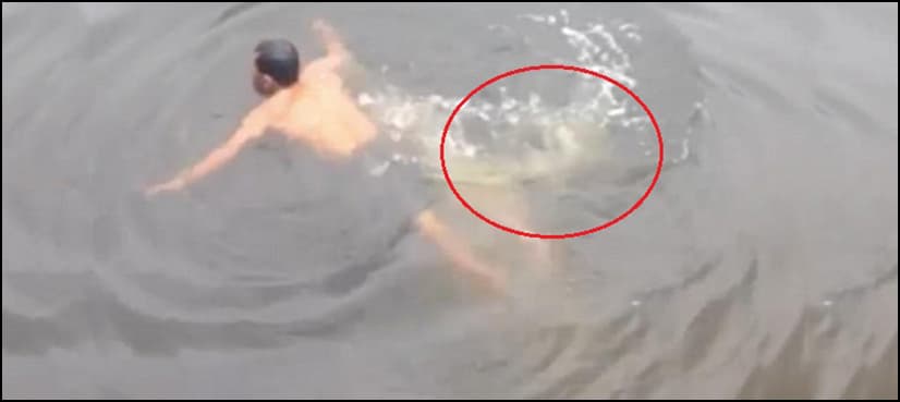 VIDEO: Crocodile kills a man trying to prove his ‘super natural’ powers