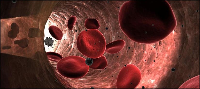 UK authorises gene therapy for blood disorders