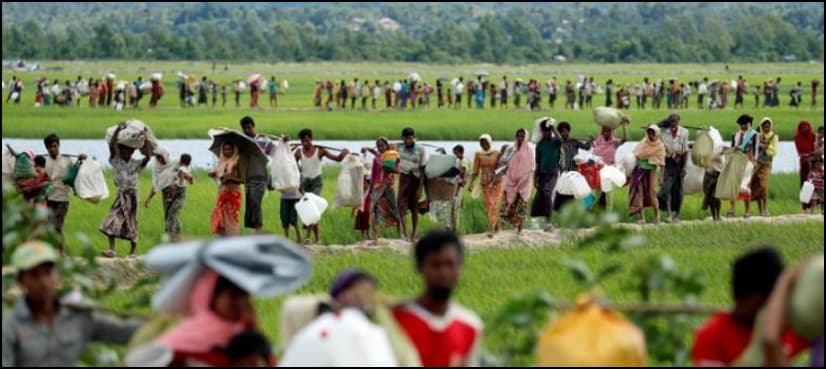 Returning Rohingya may lose land, crops under Myanmar plans