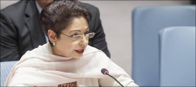 UN Commission should set up to probe rights abuses in Kashmir: Lodhi
