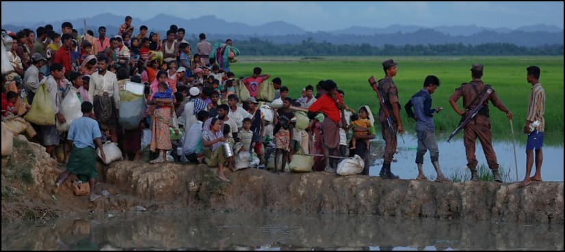 Army in 'systematic' campaign to drive Rohingya from Myanmar: UN