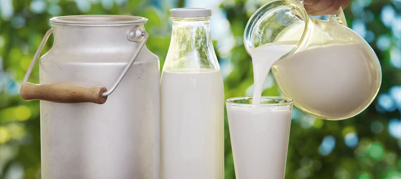 Synthetic loose milk makers, suppliers caught in Punjab