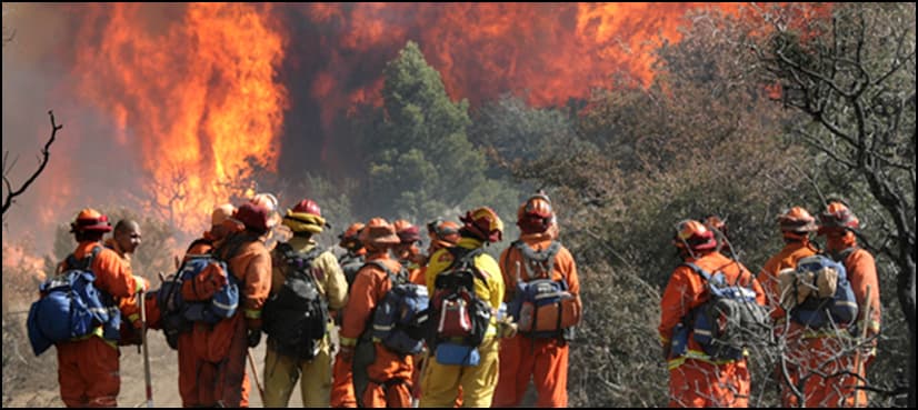California prisoners fight wildfires for one dollar an hour