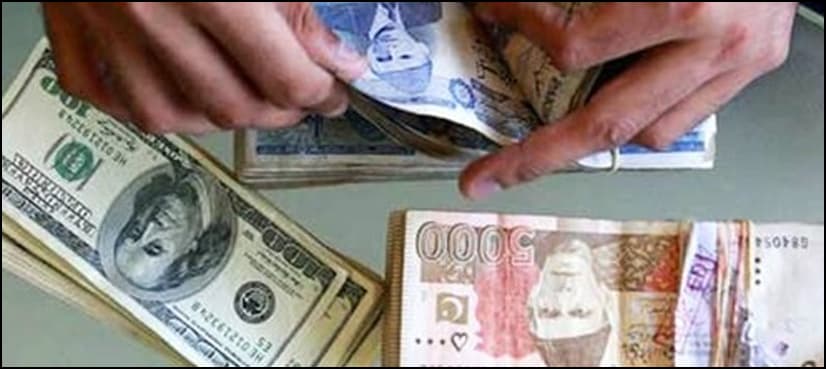 Pakistan's foreign exchange reserves maintain a healthy level: Finance Ministry spokesman